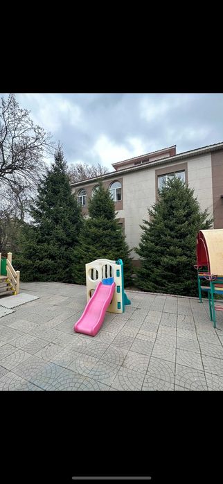 продам ели большемерные