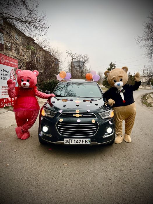 Animator arenda Raddomdan olib chiqish foto video afarmlrnya xiz.