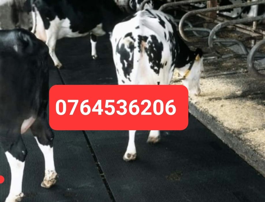 Vând covor pentru animale sau balastrieri covor