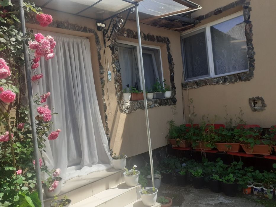 Vind   ,    Proprietar Ocolis Maramures str Culturii nr 110 vind casa cu anexe