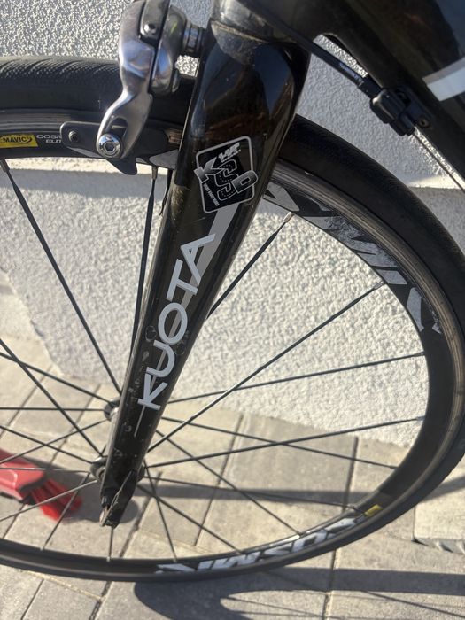 Cursiera carbon.