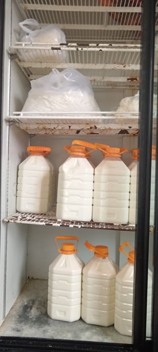 Домашняя молочная продукция