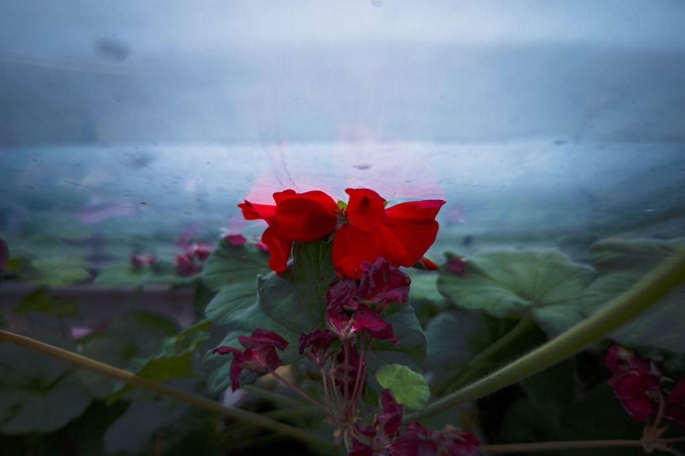 Sharp aquos r6 12/128