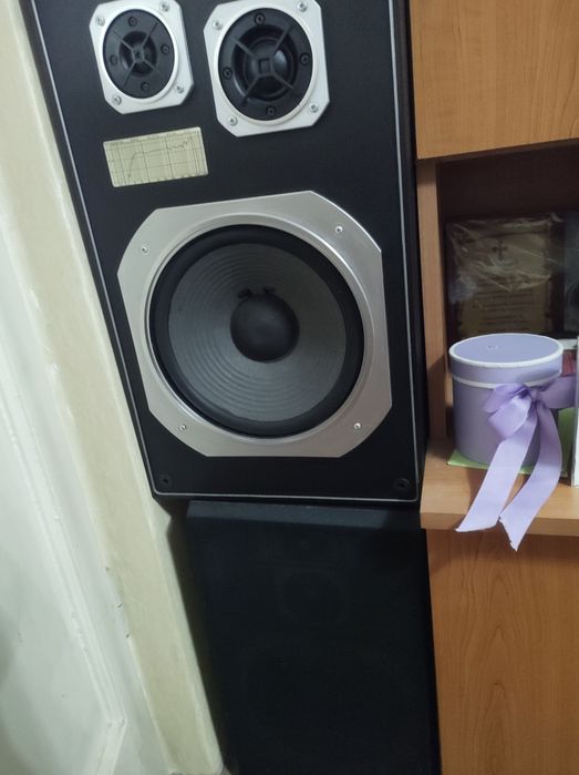 Boxe și amplificatoare audio vintange