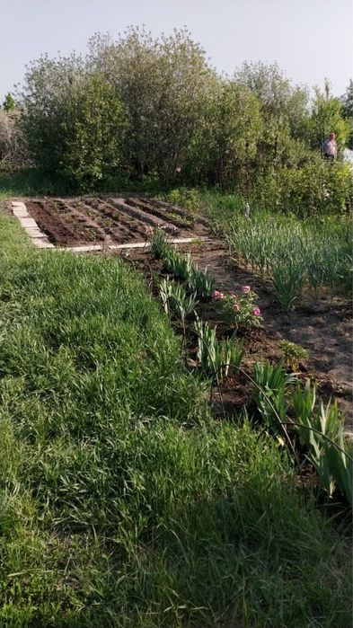 Недвижимость