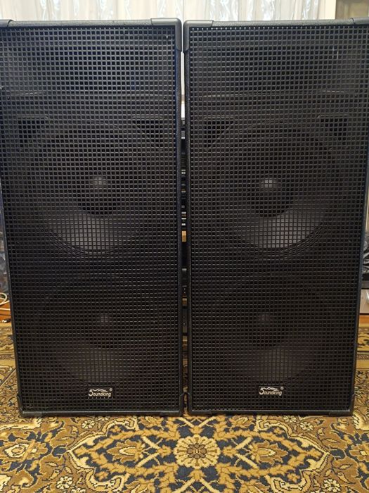 Колонки "Saundking"