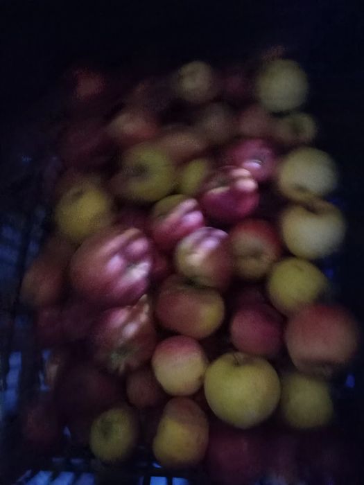 Mere pentru suc sau țuică