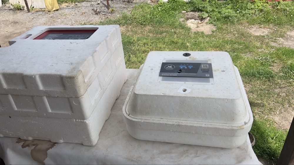 Продам Инкубатор Птичий двор 156