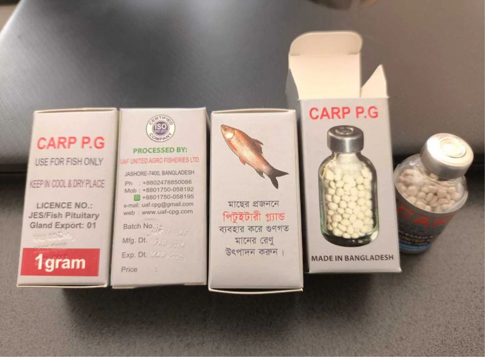 Гипофиз для карповых видов рыб