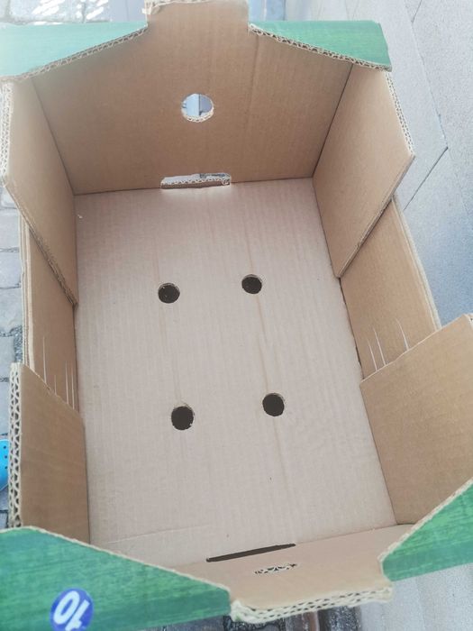 Lazi depozitare carton