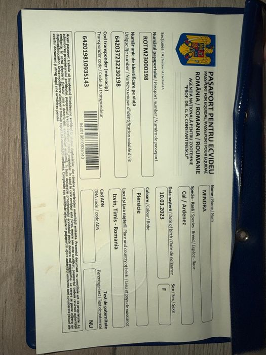 Vand iapa de 3 ani