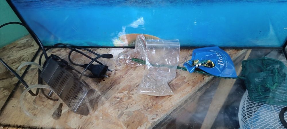 Аквариум в комплекте без рыб