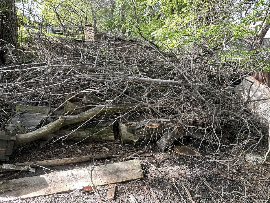 Дрова бесплатно .