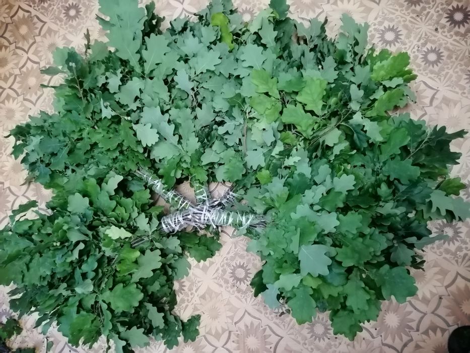 Дубовые веники..