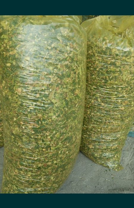 Selofan qoplar sotiladi