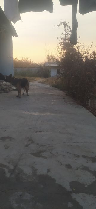 Продается дом бывшее дача