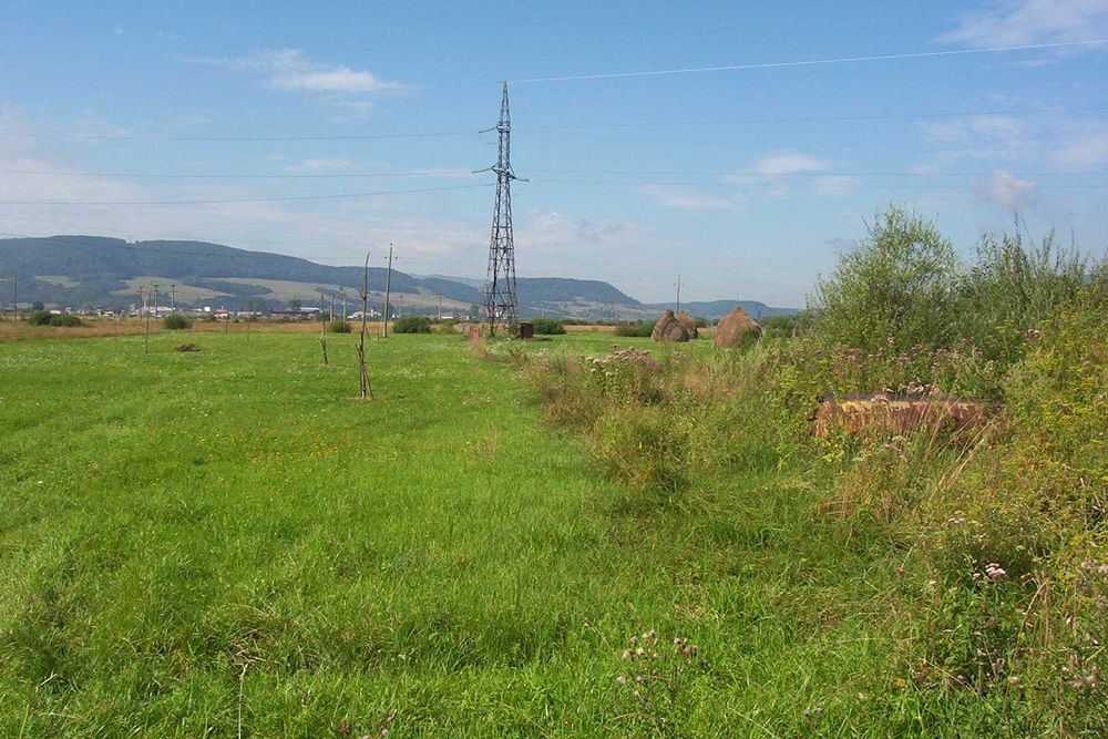 Intravilan locuri de case  Targu-Lapus  str Maramuresului