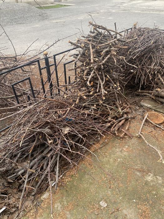 Хар хил дарахтлар утинлари.