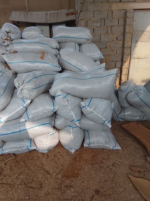 Apilka  30  tadan Kam sotmimiz dastafka yoq. Apilka quruq emas