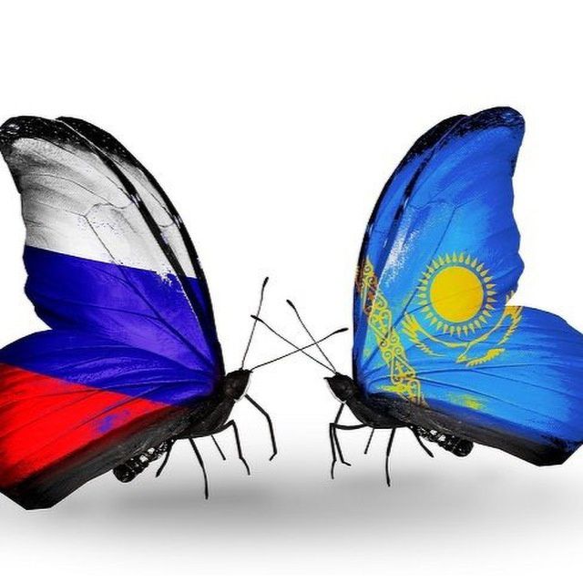 Страхования для иностранных граждан