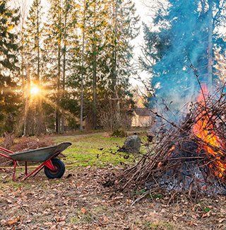 .Уборка территории. Спил деревьев