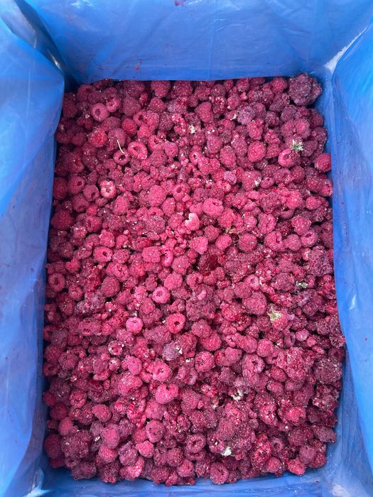 замороженная клюква