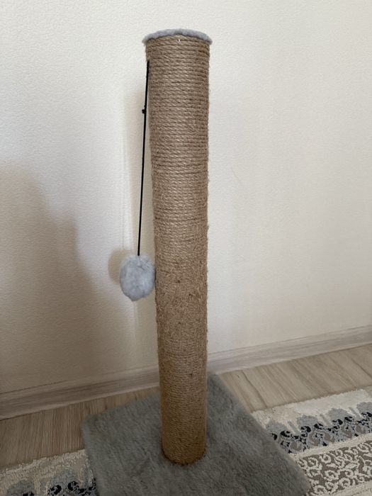 Когтеточка для кота