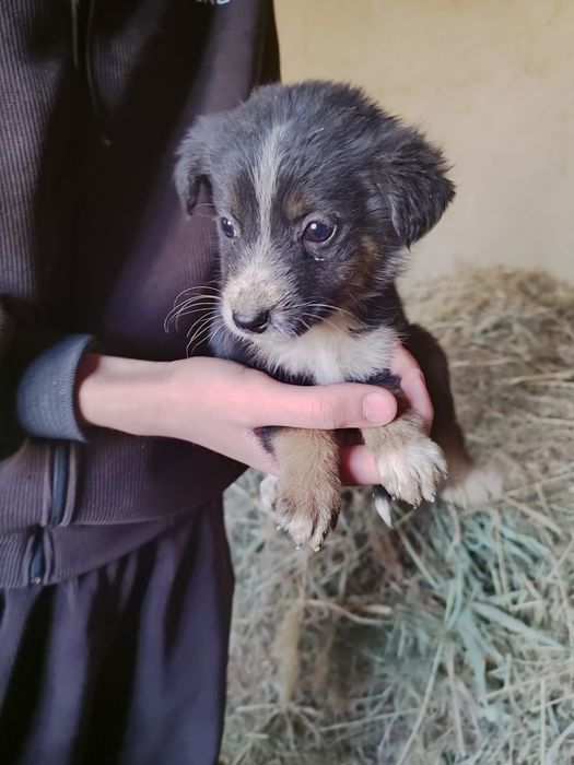 Яхши инсонларга хадия киламан