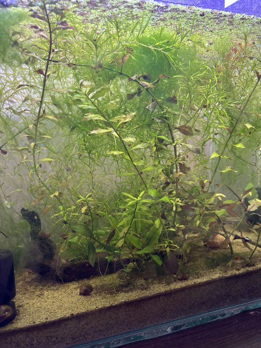 Продам аквариум на 40-45 литров