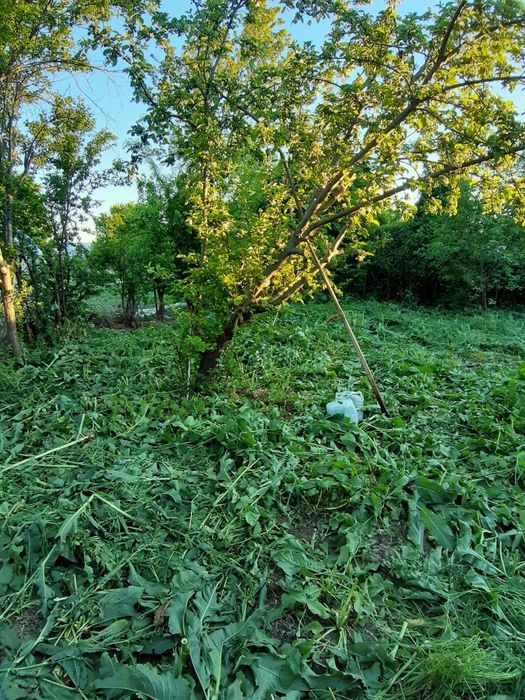 De vânzare casă cu teren aproape de București,  Vărăști de Giurgiu.