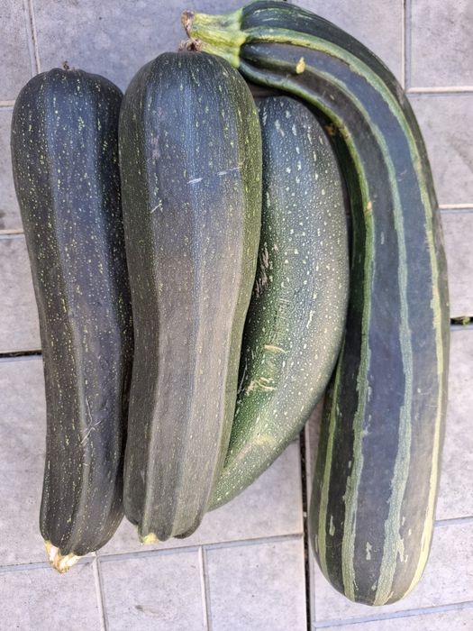 Продам овощи дачные