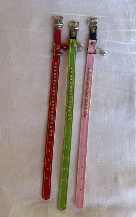 Accesorii pentru pisici
