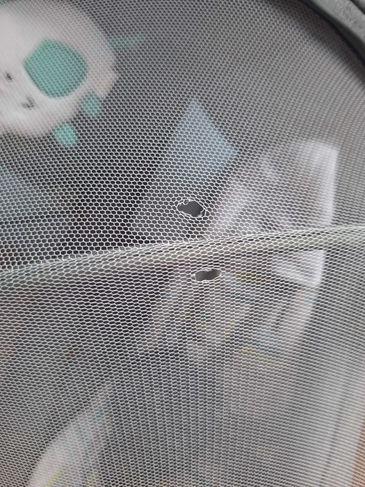 Електрическа люлка Cangaroo - Axel