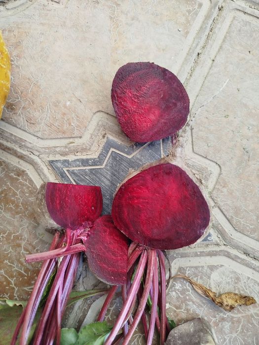 ҚИЗИЛЧА мақсулоди сотилди наманганда