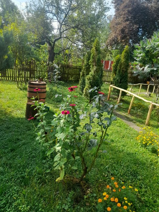 Vând  casă la curte