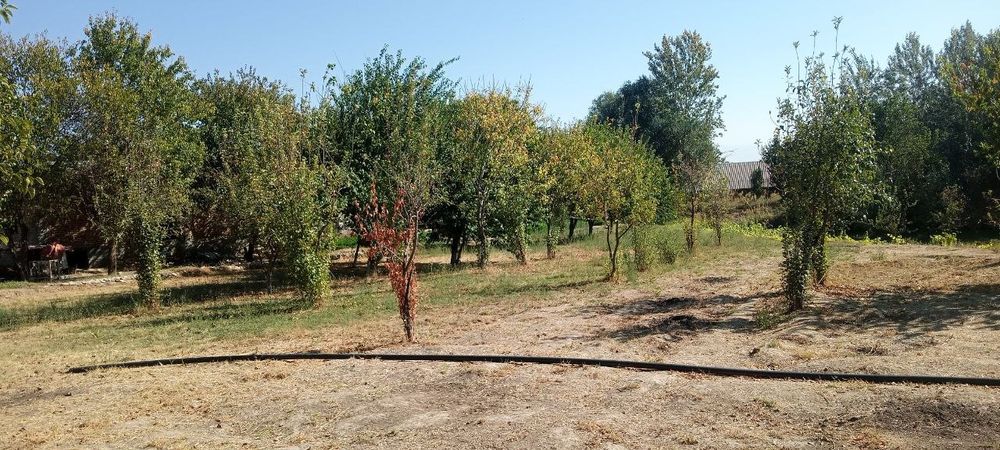 Srochno sotiladi Yer uchastkasi 15 sotix