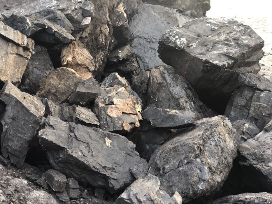 Lemne si carbuni pentru foc.Livrare gratuita în tot județul TR