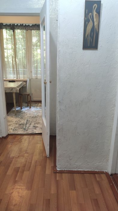 1 комнатная в Коктеме 2