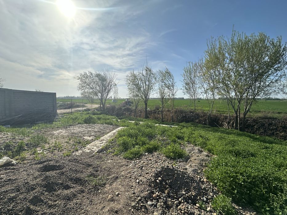 Ферма чорвага кизиканларга зор жой