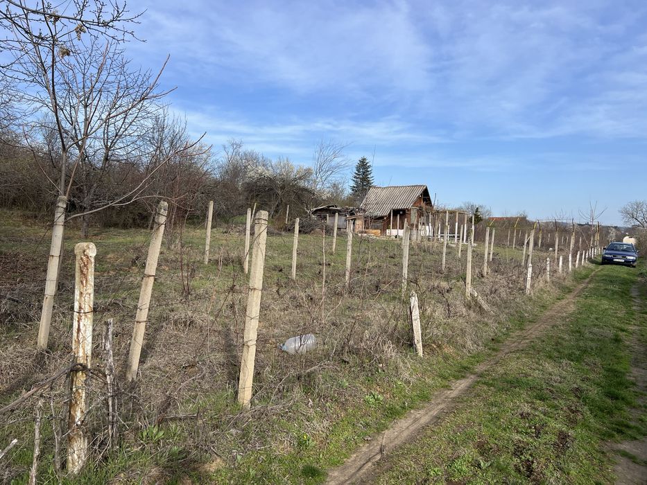 Вила в местност Нежовец Плевен