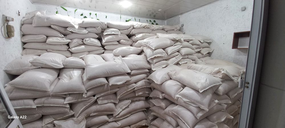 Зерно для попкорна