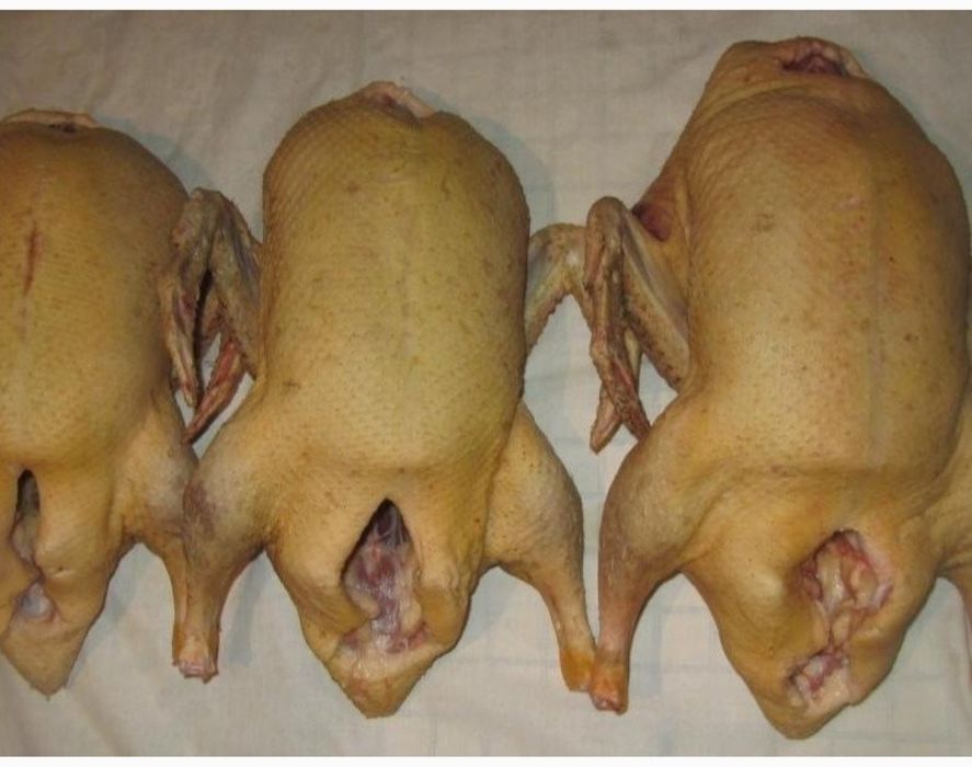 Индоутка сатылады