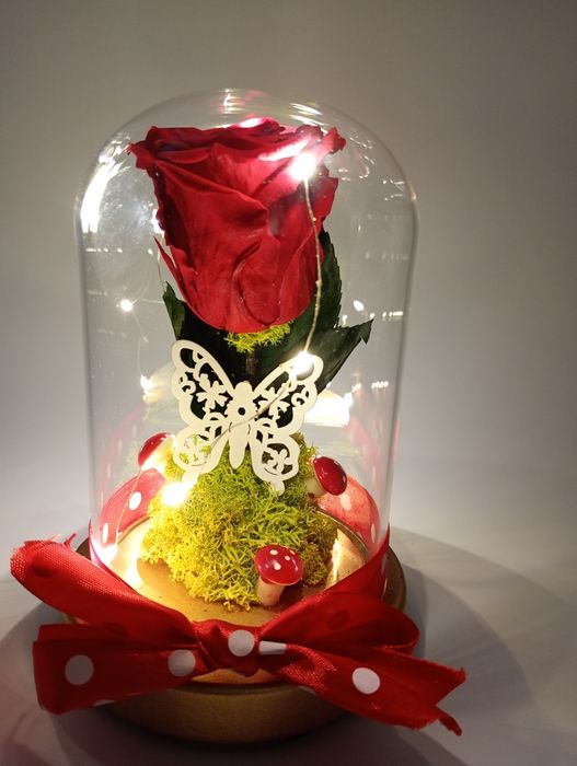 Trandafiri criogenati in cupola de sticla cu leduri cadoul perfect