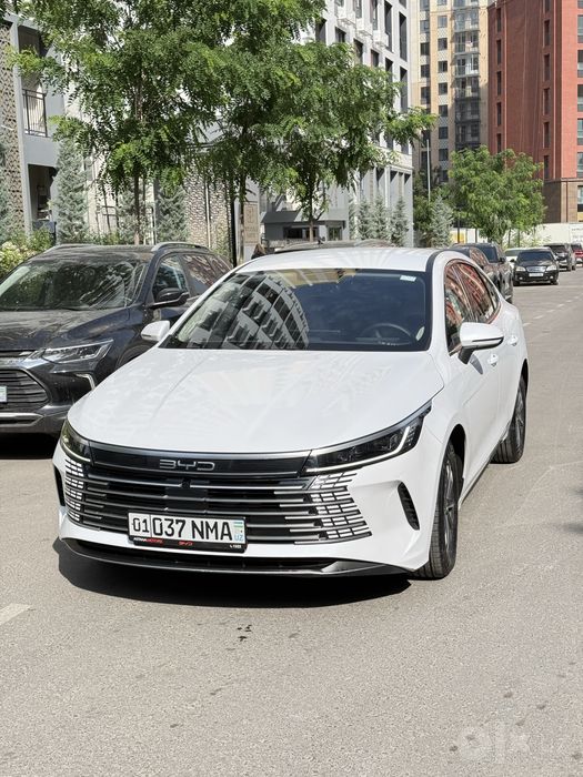 BYD CHAZOR 2024 55km