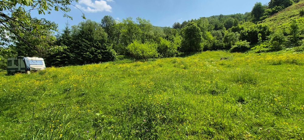 Teren intravilan în munții Apuseni jud Alba/Cluj