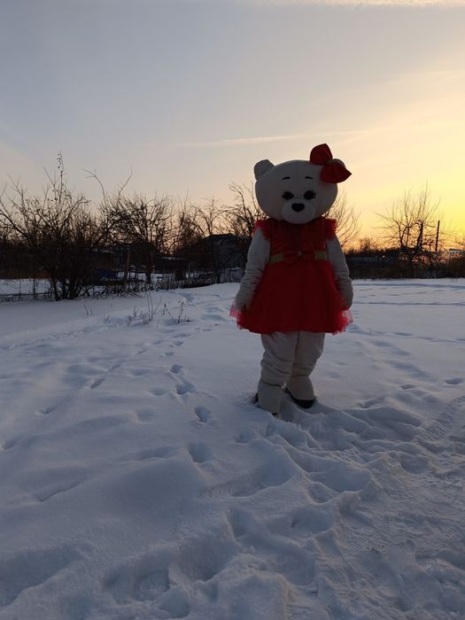 Мишка Тедди в аренду