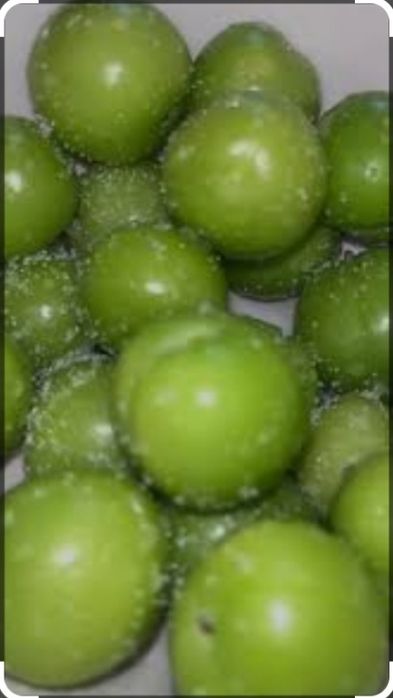 Dovcha & Koksulton & Ravoch