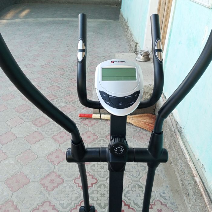 Тринажорий велиг