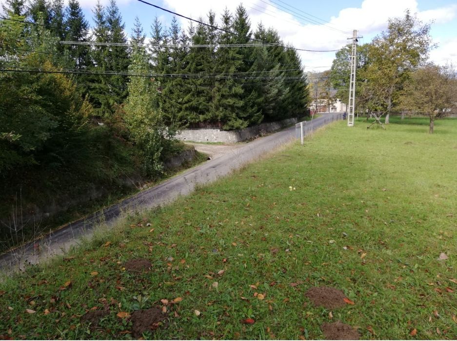 Teren intravilan în Ceahlău 2500 mp