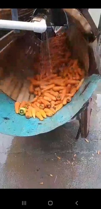 Sabzi yuvish uskunasi Tayyor biznes  Sotiladi